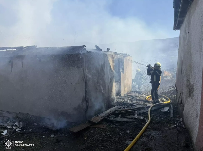 Рятувальники розповіли про значну пожежу на Берегівщині