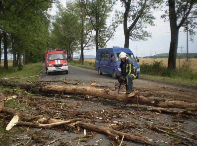 Дорогу до Косина перекрили дерева, які впали через сильний вітер