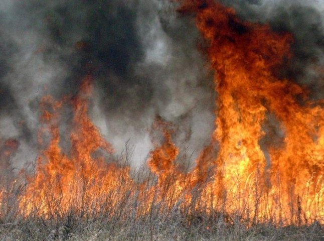 На Берегівщині через підпал трави призупинили газопостачання у 7 селах