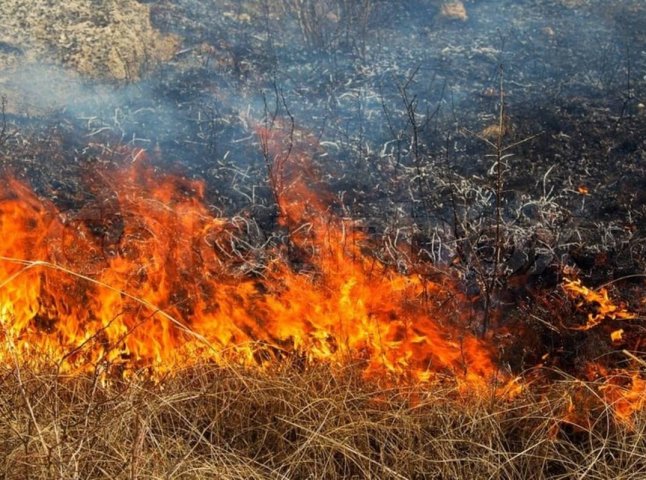 Трагедія в одному з сіл області: через спалювання трави загинула жінка Трагедія в одному з сіл області: через спалювання трави загинула жінка