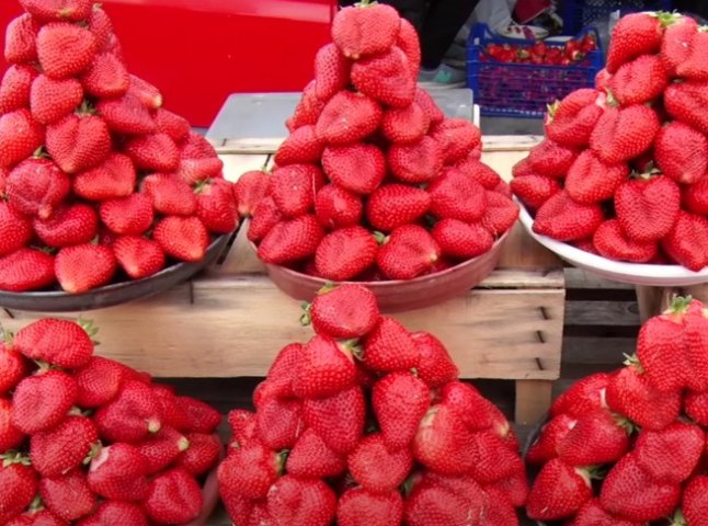 Жителі села на Закарпатті масово вирощують полуницю