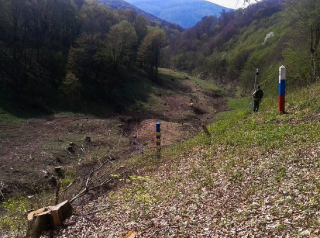 Луценка просять розібратись із вирубкою лісу вздовж українсько-словацького кордону