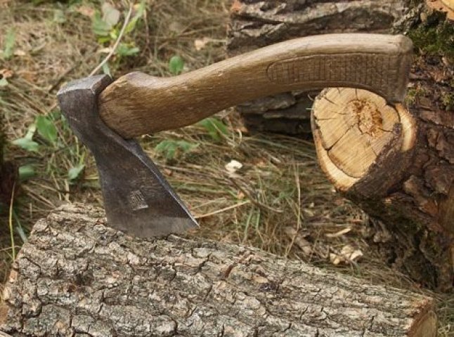 За збитки, заподіяні внаслідок незаконної рубки дерев, прокуратура через суд вимагає стягнути 316 тисяч гривень