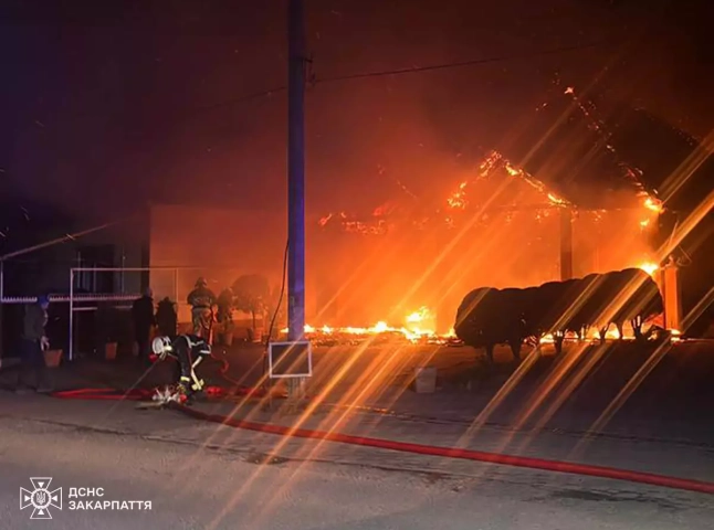 В одному з ресторанів області трапилась пожежа