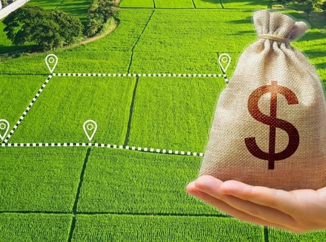 Скільки тепер коштує земельна ділянка: ціна за 1 гектар Скільки тепер коштує земельна ділянка: ціна за 1 гектар