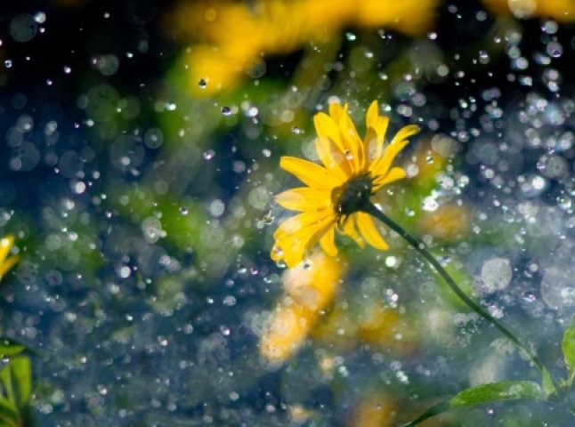 Дощі та грози: синоптики розповіли, якою буде погода наприкінці липня