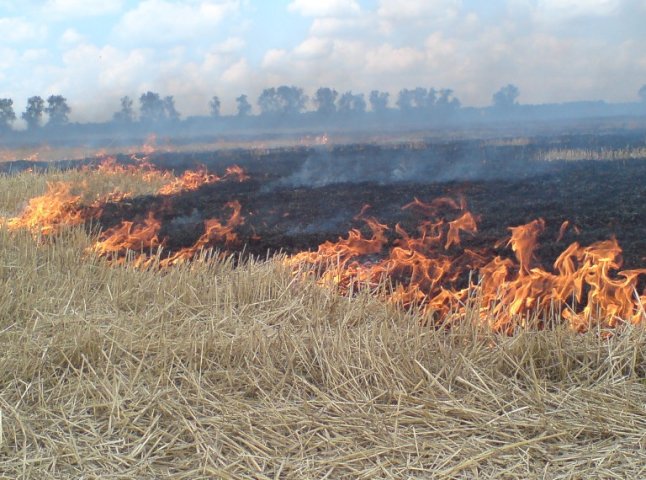 Через спеку у Іршаві загорілась суха трава