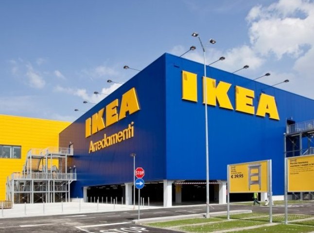 Стільці для "IKEA" виробляють із незаконно вирубаного закарпатського лісу, – ЗМІ