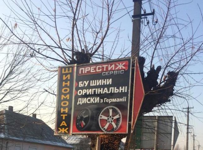 В Ужгороді прибрали дві незаконно встановлені рекламні конструкції