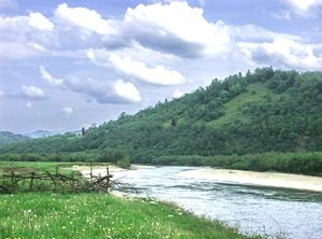 Якість води у Тисі зацікавила українських та румунських екологів