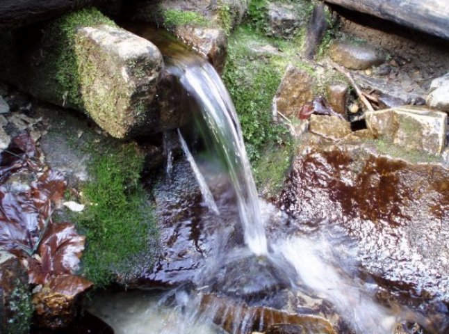 На Свалявщині сільрада незаконно встановила плату за користування джерелом мінеральної води