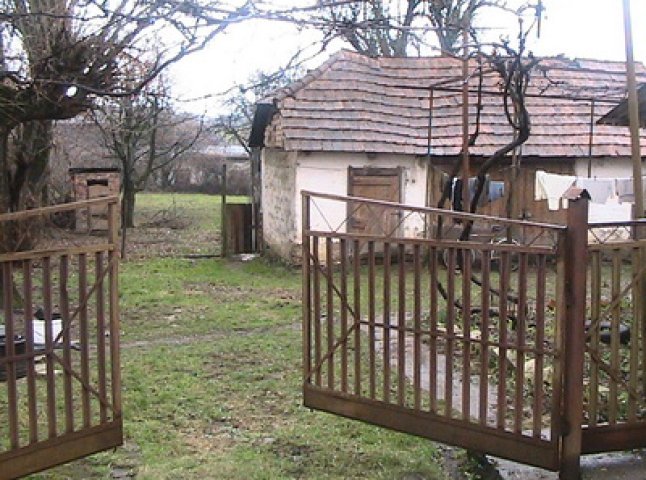 На Виноградівщині літній чоловік, святкуючи свій День народження, загинув від рук своїх же гостей