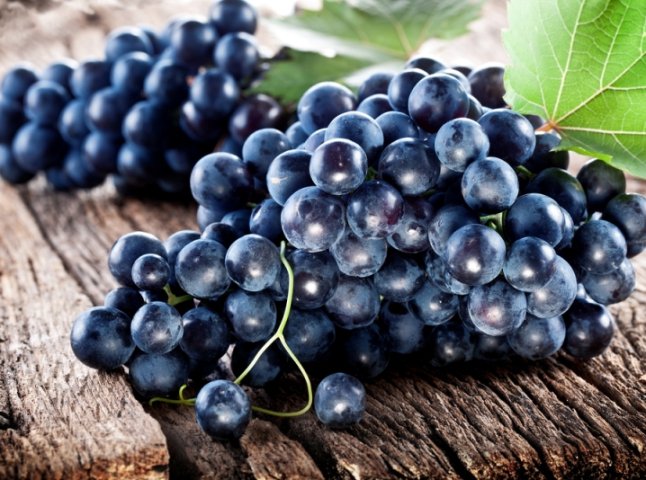 Закарпатець заманює до себе туристів, вирощуючи 250 сортів винограду з усього світу