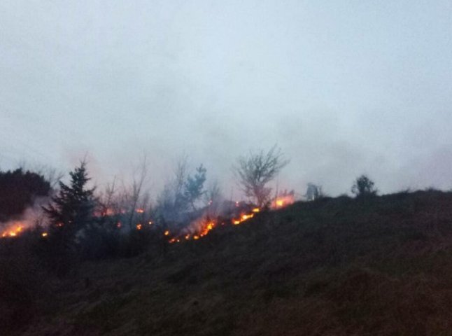 Впродовж доби рятувальники 5 разів гасили пожежі на відкритих територіях