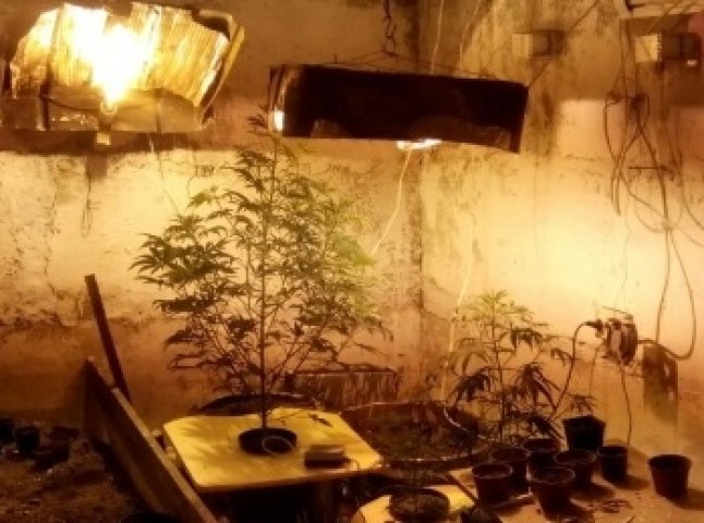 В мешканця Ужгородщини поліція виявила цілу лабораторію для вирощування марихуани