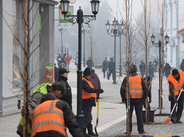 На площі Шандора Петефі в Ужгороді висадили дерева, за які проголосували містяни