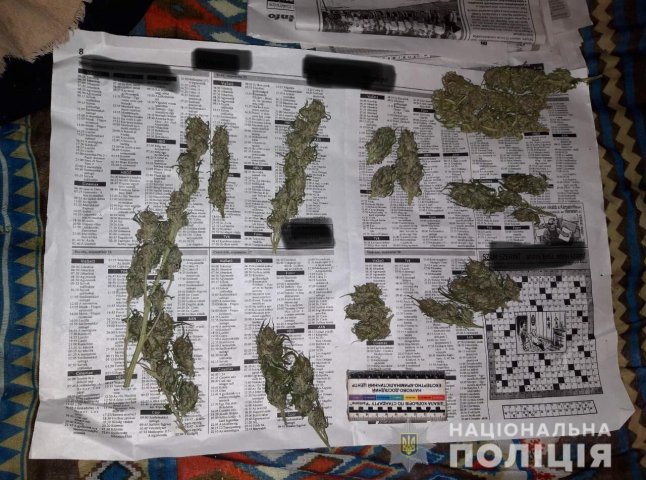 На Виноградівщині у чоловіка знайшли чимало марихуани