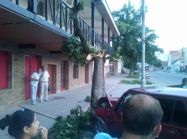 ДТП в Ужгороді: біля однієї з піцерій Volkswagen врізався в дерево (ФОТО)