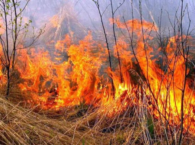 Через спалювання сухої трави поблизу Мукачева згоріла дача