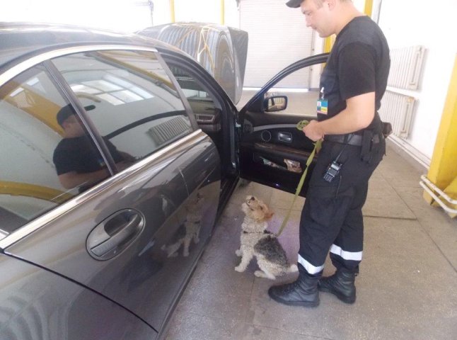 Собака допоміг виявити сховану зброю у автівці