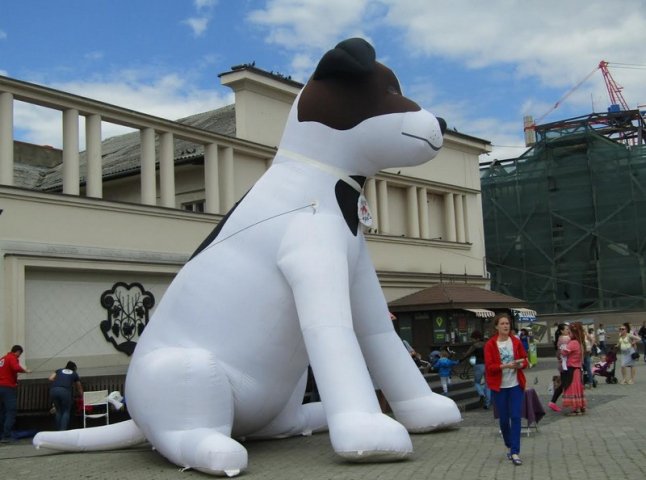 Навіщо в Ужгороді на Театральній встановили 6-метрову собаку