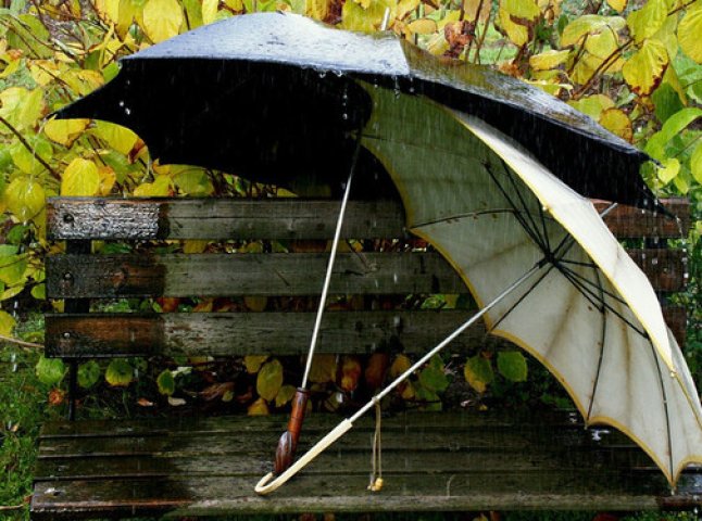 Незвична крадіжка в Ужгороді: двоє чоловіків поцупили з кав’ярні парасольки