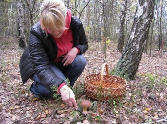 Рятувальники знайшли на Мукачівщині чотирьох заблукалих грибників