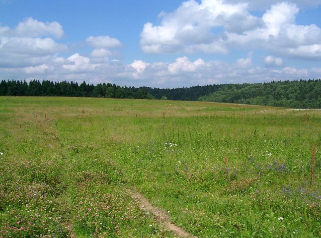 Одне з фермерських господарств Іршавщини незаконно використовувало земельну ділянку