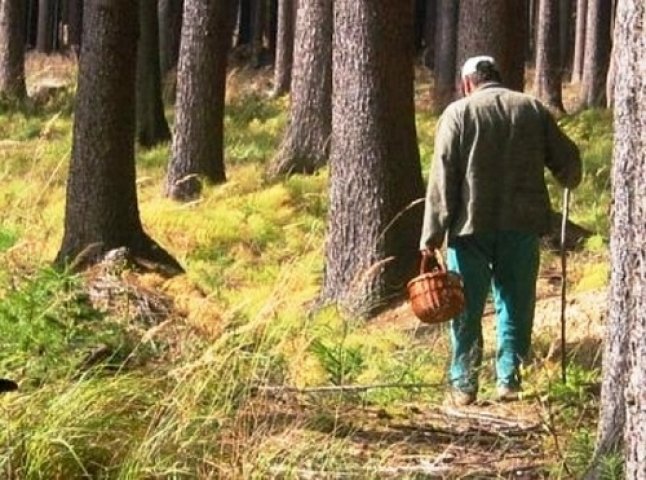 Чоловік пішов по гриби і заблукав у лісі