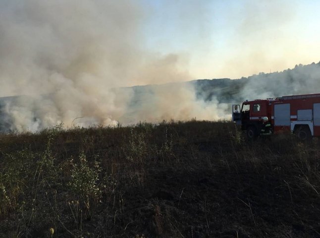 За вихідні в області сталося 40 пожеж в екосистемах
