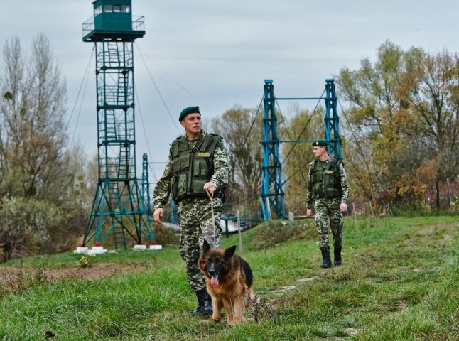 Українські та словацькі прикордонники затримали велику кількість нелегалів