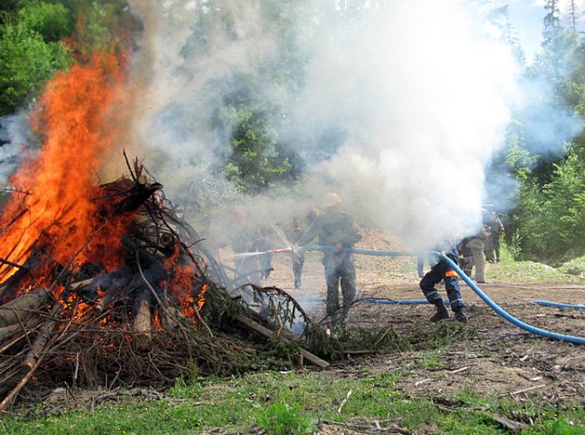 Рахівські рятувальники гасили пожежі в екосистемах