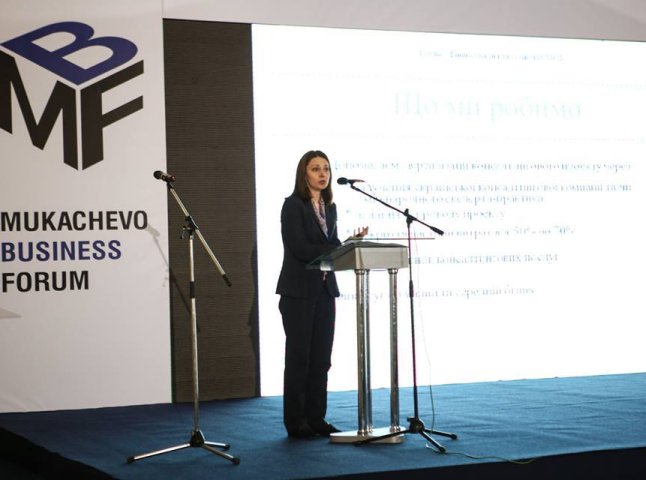 Представник ЄБРР запропонувала підтримку малому та середньому бізнесу Мукачева