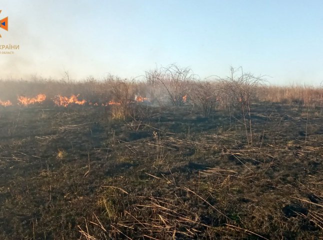 На Мукачівщині хтось влаштував першу в 2023 році пожежу в екосистемі