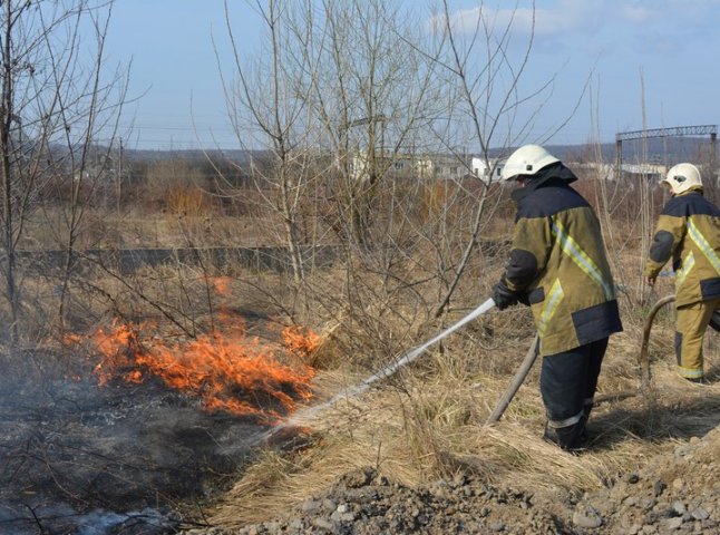 Упродовж минулих вихідних на Закарпатті виникло 45 пожеж в екосистемах краю