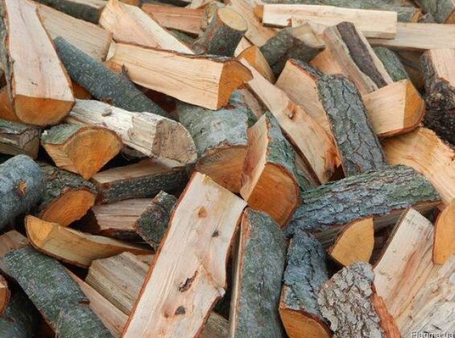 Лісівники Закарпаття озвучили ціни на дрова на прийдешній опалювальний сезон