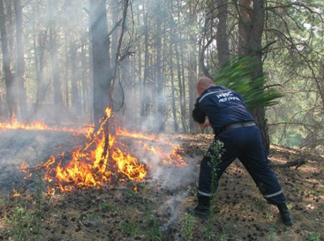 Попри закінчення літнього періоду в природних екосистемах й надалі відмічається збільшення кількості пожеж
