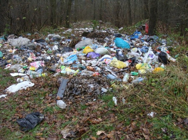 В Ужгороді прибиратимуть стихійні сміттєзвалища