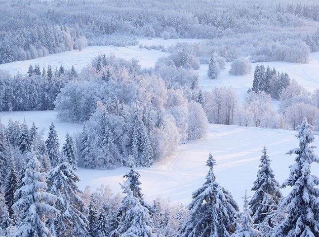 Коли в Україні розпочнеться зима: синоптик назвав дату
