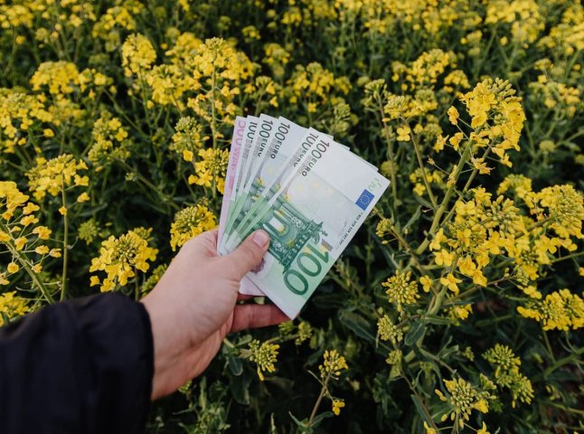 До 3 тисяч євро виплати: із 27 вересня Мінсоцполітики запускає нову допомогу