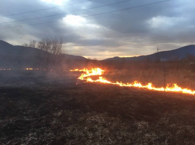 Масштабні пожежі: за добу на Закарпатті вигоріло понад 50 га сухої рослинності
