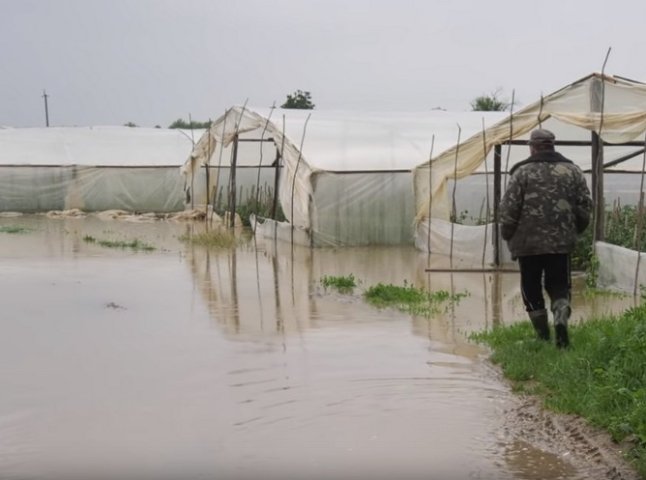 Наслідки злив: води в теплицях на Закарпатті – по пояс