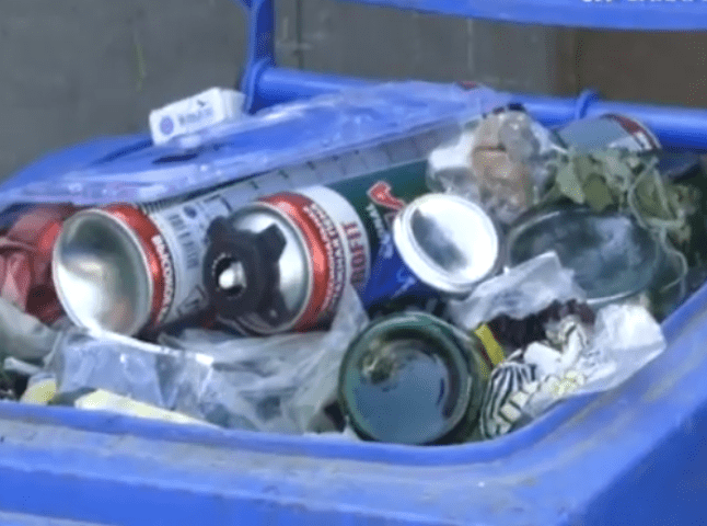 Велика біда: на Виноградівщині вирішують проблему перенасичення сміттям