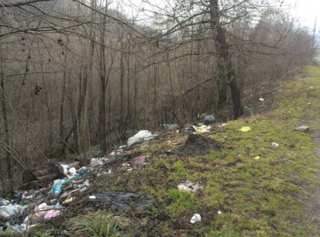 Названо голів сільських рад на Закарпатті, на яких склали акти за неприбране сміття