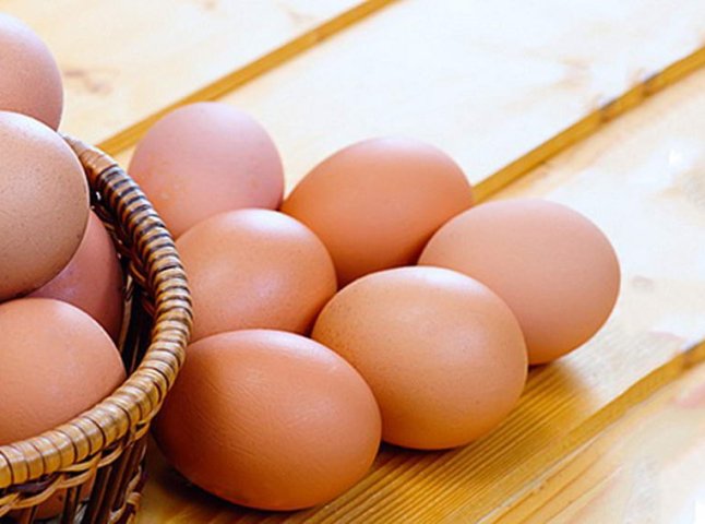 На Мукачівщині збільшилося виробництво молока та яєць