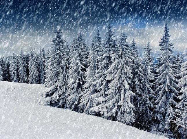 Синоптики прогнозують сильні снігопади на Закарпатті на другу половину п’ятниці