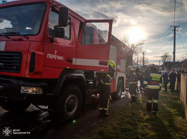 Збіглися сусіди: що сталось у закарпатському селі