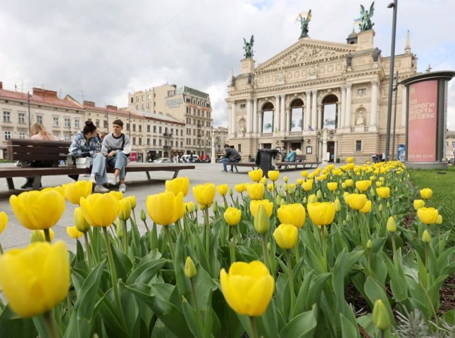 Весна у Львові: де знайти красиві сакури, магнолії та тюльпани
