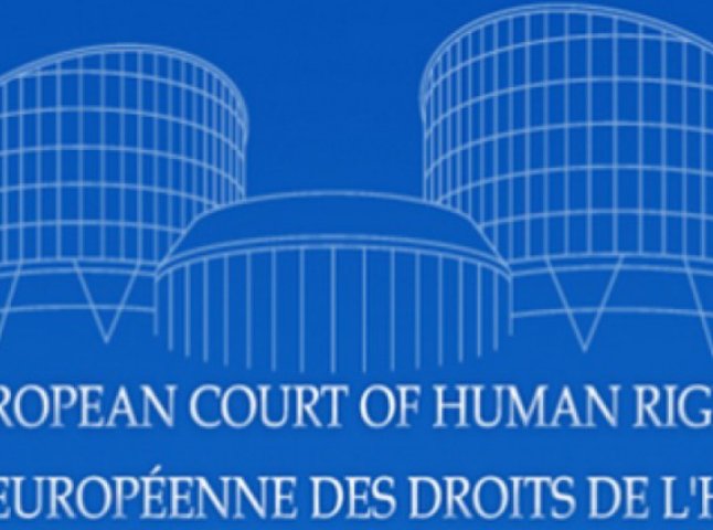 Підготовка та супровід у справах до Європейського суду з прав людини