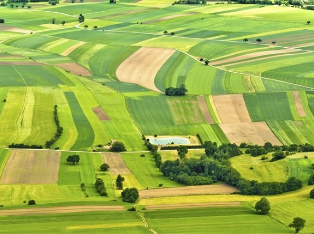 На сьогодні у Закарпатській області вже підібрано 31 земельний масив для військовослужбовців